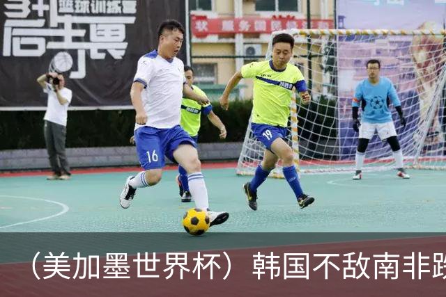 （美加墨世界杯）韩国不敌南非跌至小组第三 出线前景待定